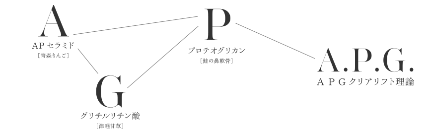 A.P.Gクリアリフト理論