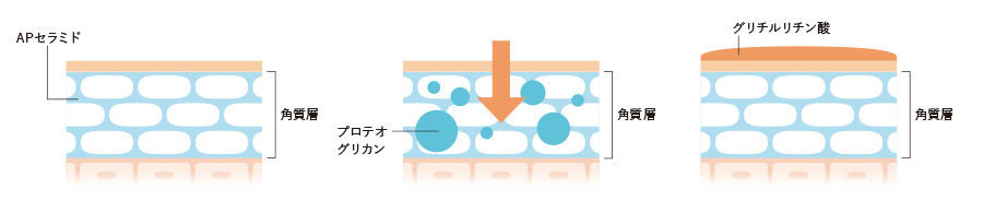 APセラミド、プロテオグリカン、グリチルリチン酸の図