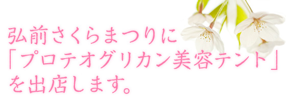 弘前さくら祭りにて<br />「プロテオグリカン美容テント」を出店しています
